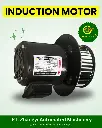 INDUCTION MOTOR 2850 RPM